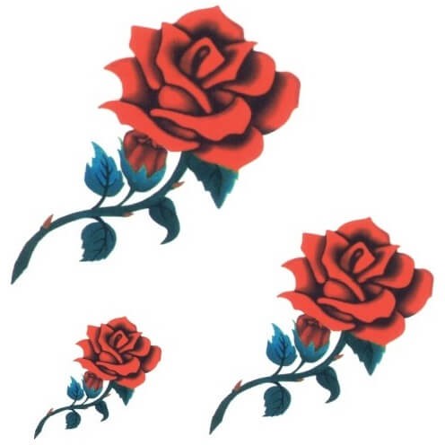 Sticker mural roses rouges encadrées - TenStickers