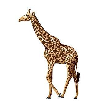 Tatouage temporaire girafe