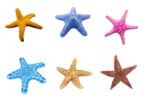 Planche de 6 tatouages temporaires étoiles de mer colorées tattoo 15cm ...